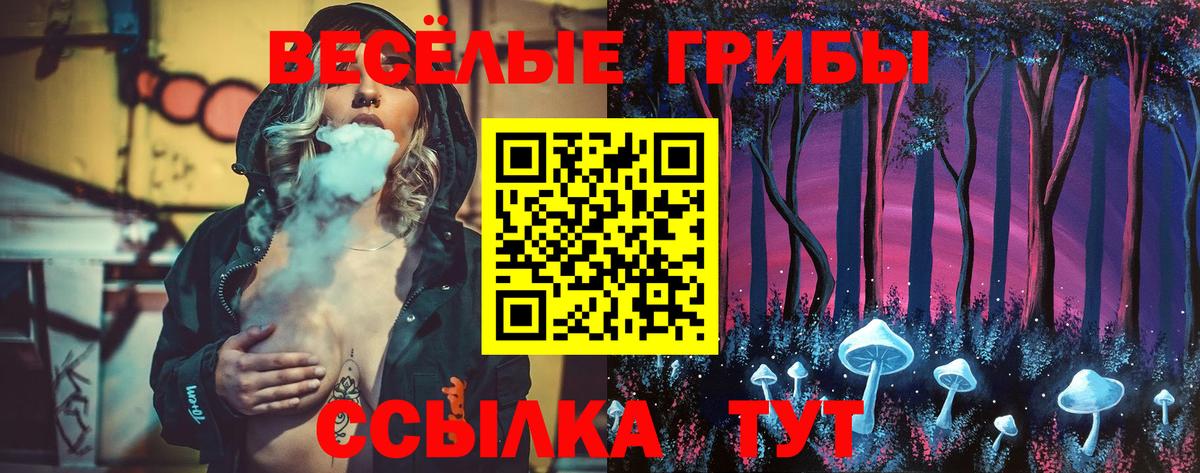 где можно купить наркотик  Галлюциногенные грибы ЛСД  Кизилюрт  Вход с VPN  Псилоцибиновые грибы прущие грибы 