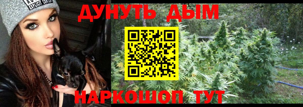 Бошки Шишки конопля  Вход с VPN  Каннабис LSD WEED  Бошки Шишки Ganja  Кизилюрт  Марихуана OG Kush 